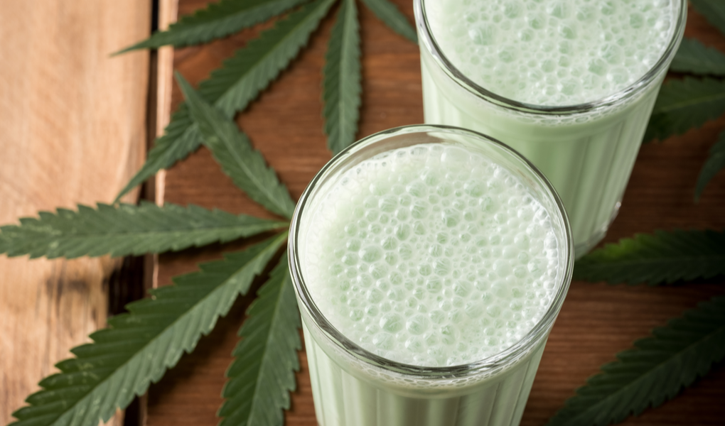 WHAT IS BHANG, AND HOW DO YOU MAKE IT?